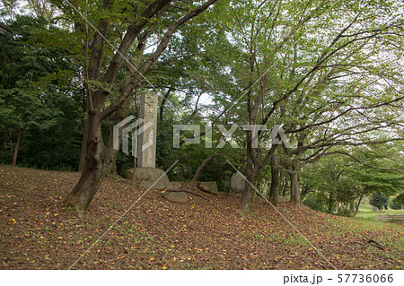 岩槻城址公園　白鶴城址碑　さいたま市 57736066