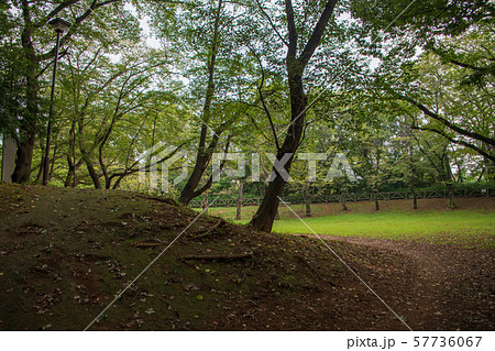岩槻城址公園 白鶴城址碑周辺 さいたま市 岩槻城址公園 白鶴城址碑周辺 さいたま市 57736067