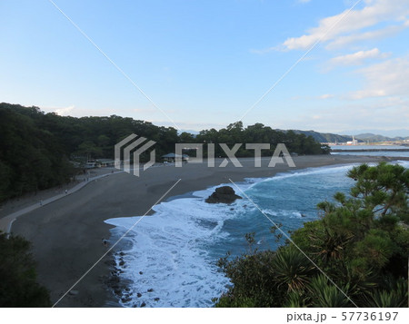 桂浜（高知県） 57736197