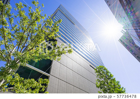 名古屋市中村区名駅　高層ビル群　シンフォニー豊田ビル  57736478