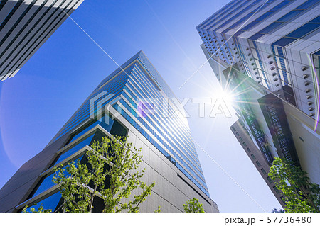 名古屋市中村区名駅 高層ビル群 シンフォニー豊田ビル  名古屋市中村区名駅 高層ビル群 シンフォニー豊田ビル  57736480