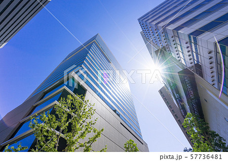 名古屋市中村区名駅　高層ビル群　シンフォニー豊田ビル  57736481