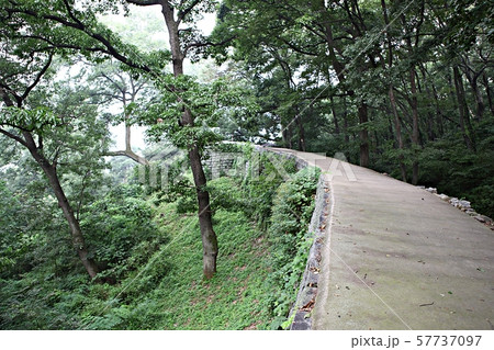 山城 世界文化遺産 性 57737097