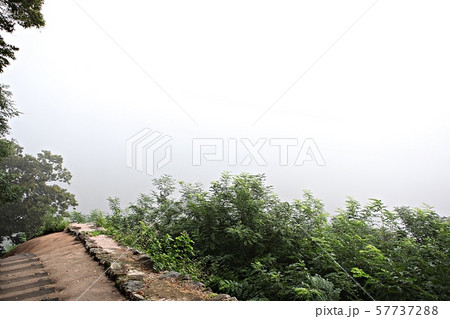 山城 世界文化遺産 プリンセス 57737288