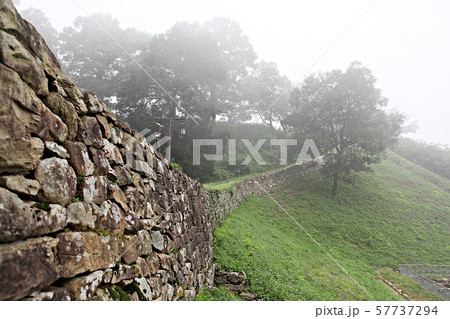 山城 世界文化遺産 プリンセス 57737294