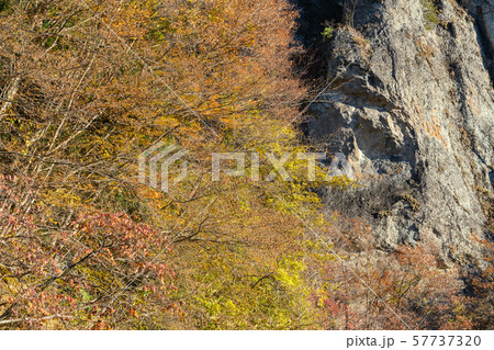 妙義山の紅葉 57737320