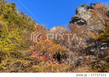 妙義山の紅葉 57737323