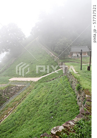 山城 世界文化遺産 プリンセス 57737521