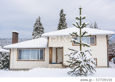 Family house with monkey tree on the front yard in snow on winter cloudy day 57739150