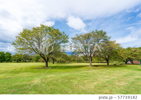 秋の公園 広場 秋の公園 広場 57739182