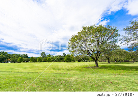 秋の公園  広場 57739187