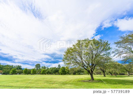 秋の公園 広場 秋の公園 広場 57739189