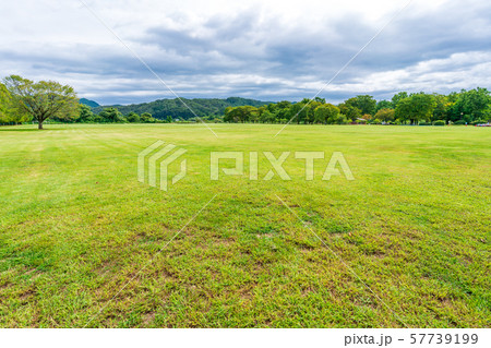 秋の公園 広場 秋の公園 広場 57739199