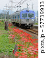 曼殊沙華とローカル電車 57739933