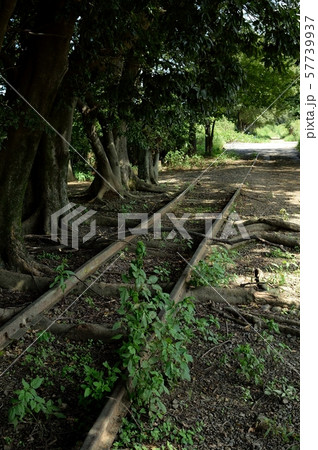 廃線跡 57739937