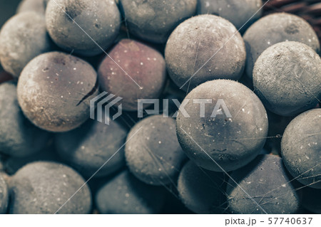 Close up fresh frozen blue grape grains 57740637