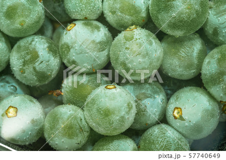 Close up fresh green grape grains in water 57740649