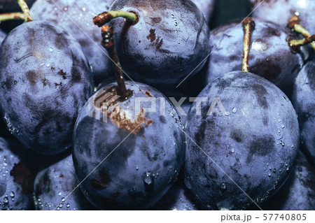 Close up beautiful fresh plums background. Macro 57740805