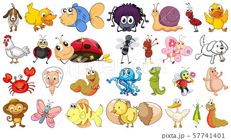 Set of different animals Set of different animals 57741401