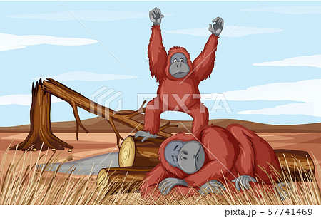 Deforestation scene with two monkeys 57741469