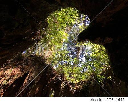 ハート ハート 57741655