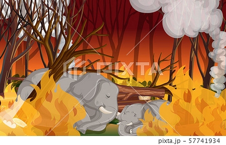 Deforestation Scene With Dying Elephantのイラスト素材