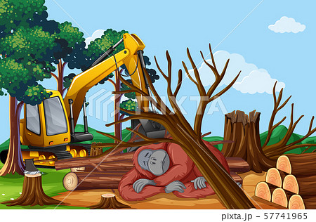 Deforestation scene with dying monkey Deforestation scene with dying monkey 57741965