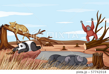 Deforestation scene with animals dying from 57742018