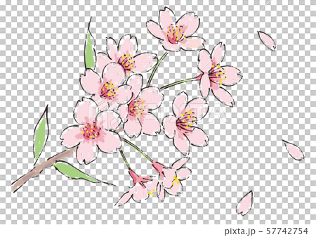 四季の花 桜のイラスト01のイラスト素材