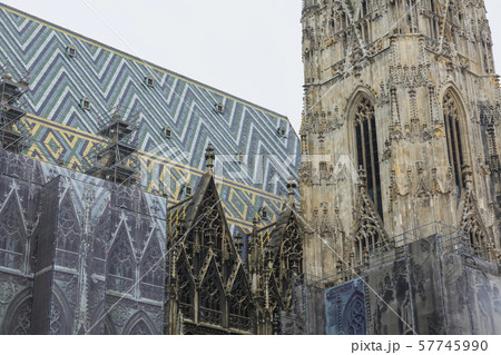 オーストリア　ウィーン　シュテファン大聖堂 57745990