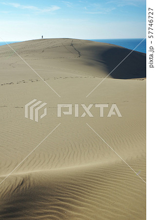 鳥取砂丘の風紋と旅人 鳥取砂丘の風紋と旅人 57746727