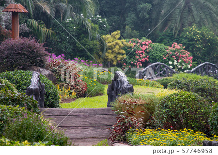 flower and plant for decoration garden in the park 57746958