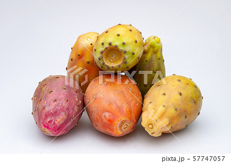 Fruits of Opuntia ficus-indica white 57747057