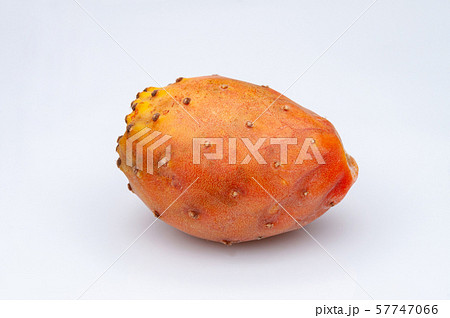 Fruits of Opuntia ficus-indica white 57747066