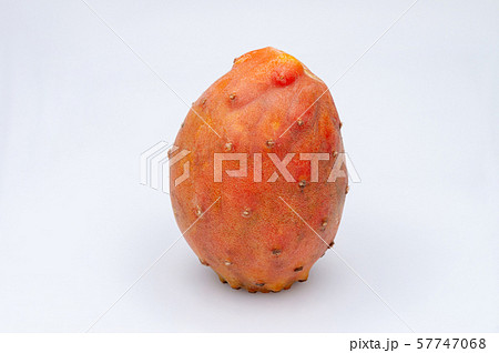 Fruits of Opuntia ficus-indica white Fruits of Opuntia ficus-indica white 57747068
