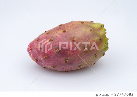 Fruits of Opuntia ficus-indica white 57747092
