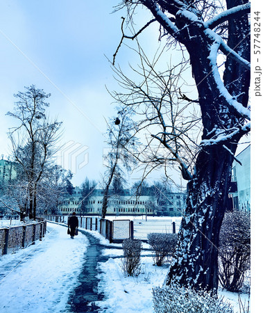 Winter time in the city 57748244