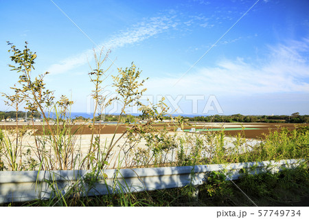 畑(秋) 畑(秋) 57749734