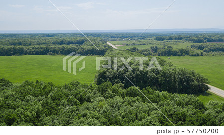 Aerial landscape nature - Dense green forest, green meadows, blue sky in southern Russia Aerial landscape nature - Dense green forest, green meadows, blue sky in southern Russia 57750200