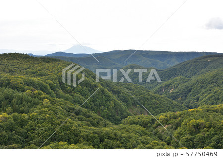城ケ倉大橋からの風景 城ケ倉大橋からの風景 57750469