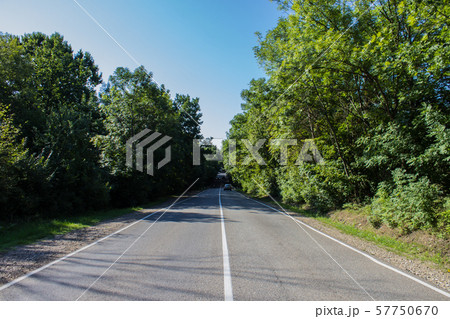 Road in a rural area with trees and blue sky Road in a rural area with trees and blue sky 57750670