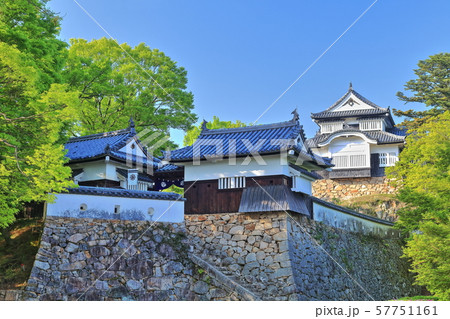 【岡山県】新緑の備中松山城 57751161