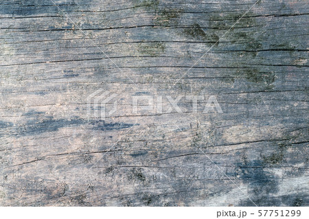 Rustic wood texture background dark old color 57751299