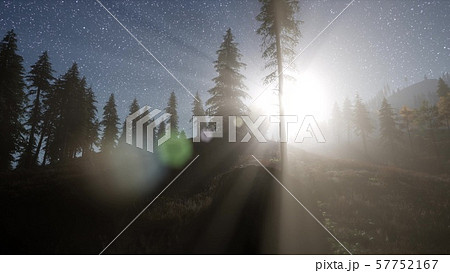 Milky Way stars with moonlight above pine trees Milky Way stars with moonlight above pine trees 57752167