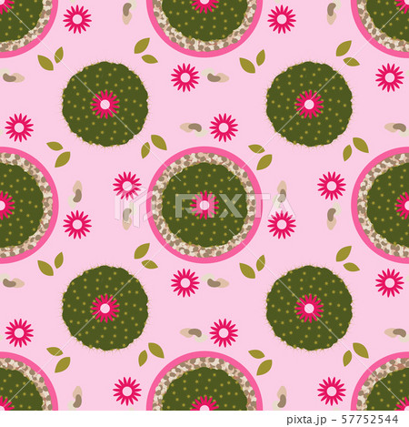 Seamless pattern with cactus Home plants. 57752544