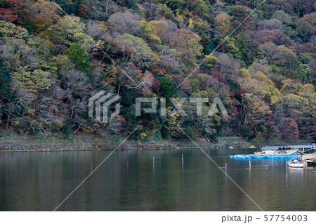 《京都・秋》早朝の嵐山の紅葉と渡月橋 《京都・秋》早朝の嵐山の紅葉と渡月橋 57754003