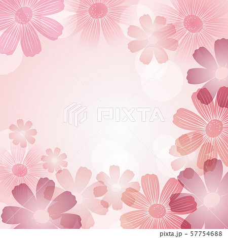 コスモス イラスト 背景のイラスト素材