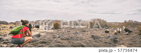 Galapagos tourist taking pictures of Waved Albatross on Espanola Island 57756874