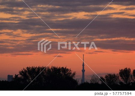 日の出 スカイツリー 日の出 スカイツリー 57757594