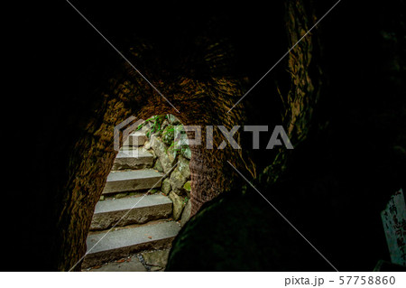 御神木の入口 樟霊社 御神木の入口 樟霊社 57758860